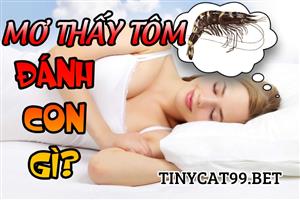 Nằm Mơ Thấy Con Tôm Đánh Số Gì? Giải Mã Giấc Mơ Thấy Tôm