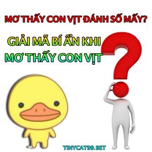 Nằm Mơ Thấy Vịt Đánh Đề Con Gì? Giải Mộng Chiêm Bao Giấc Mơ Về Vịt