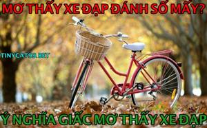 Nằm Mơ Thấy Xe Đạp Đánh Con Gì? Giải Mã Giấc Mơ Xe Đạp