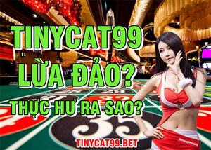 Thực Hư Chuyện Tinycat99 Lừa Đảo? Có Nên Tin Tưởng Nhà Cái Tinycat99?