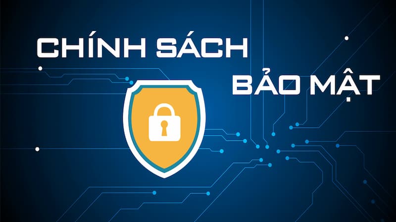Tổng quan về chính sách bảo mật tại Tinycat99