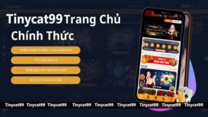 Các lỗi thường gặp khi đăng nhập Tinycat99 và cách xử lý