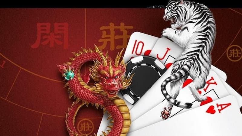 Chiến thuật chơi Rồng Hổ Tinycat99 dễ thắng