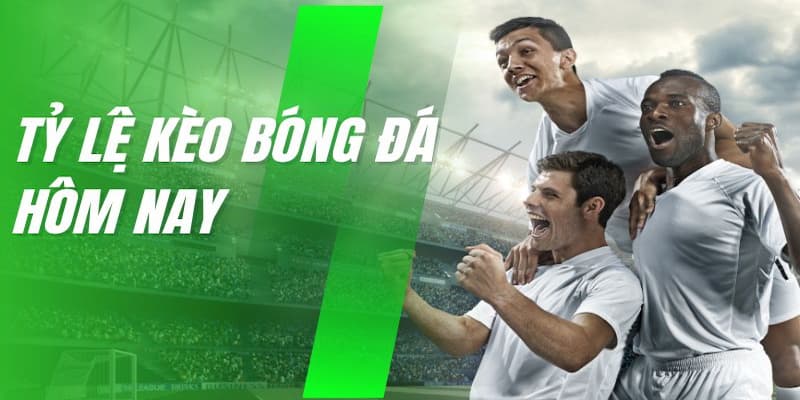 Thủ thuật đọc tỷ lệ kèo Tinycat99 siêu hay cho game thủ